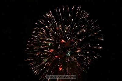 IMG_2906_20D.jpg