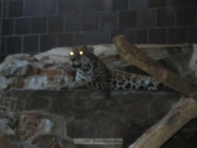IMG_0183_SD400.jpg