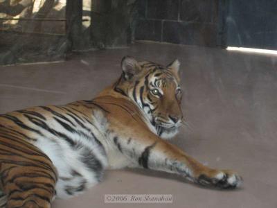 IMG_0187_SD400.jpg