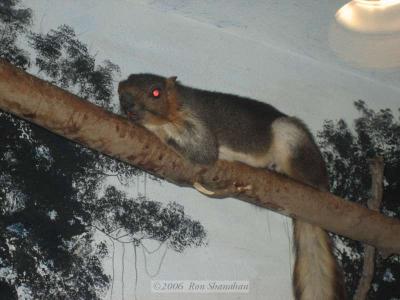 IMG_0198_SD400.jpg