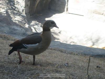 IMG_0199_SD400.jpg