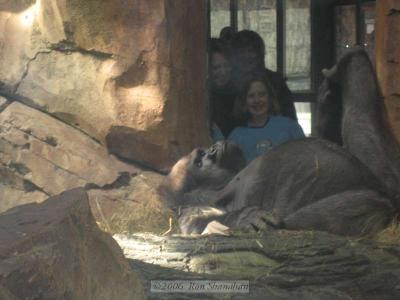 IMG_0206_SD400.jpg
