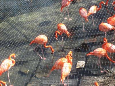 IMG_0208_SD400.jpg