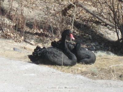 IMG_0212_SD400.jpg