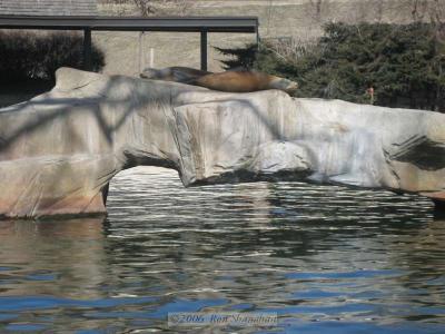 IMG_0213_SD400.jpg