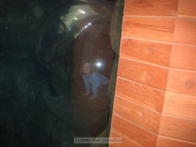 IMG_0224_SD400.jpg