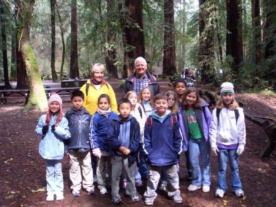 Redwood Forest 069.jpg