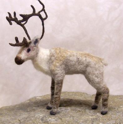Reindeer 2006(SOLD)
