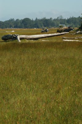 DSC_0035.JPG