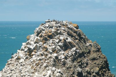 DSC_0108.JPG