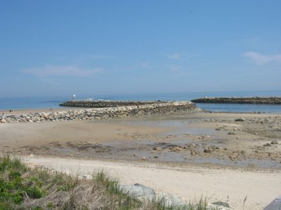 Img_8832.jpg