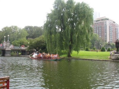 Img_9003.jpg