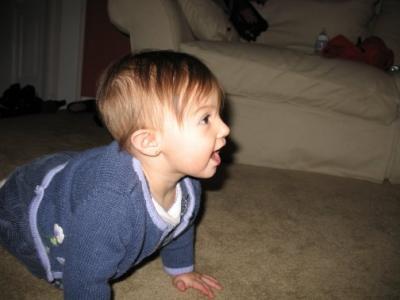 Picture 033.jpg