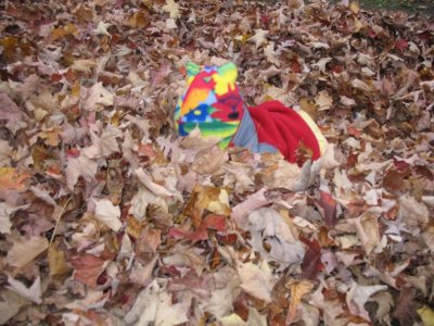 October2007 086.jpg