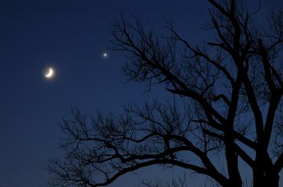 Moon & Venus