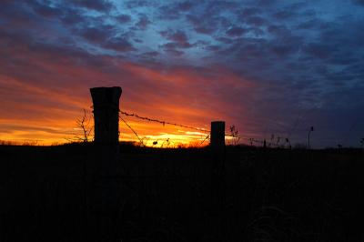 Barbed Wire Sunset at Seat Conservation Area