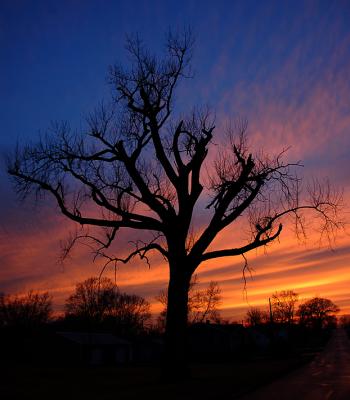 Sunset in Albany