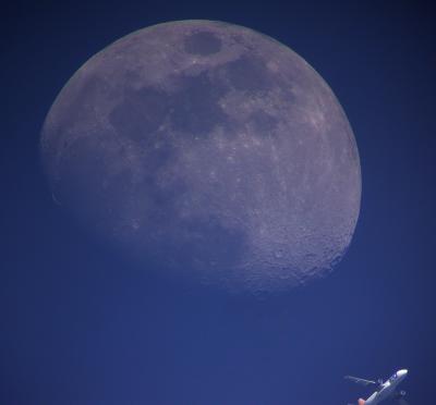 Ted Meets the Moon