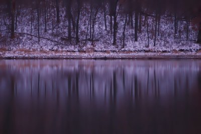 Winter Reflection