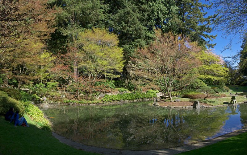 Nitobe garden