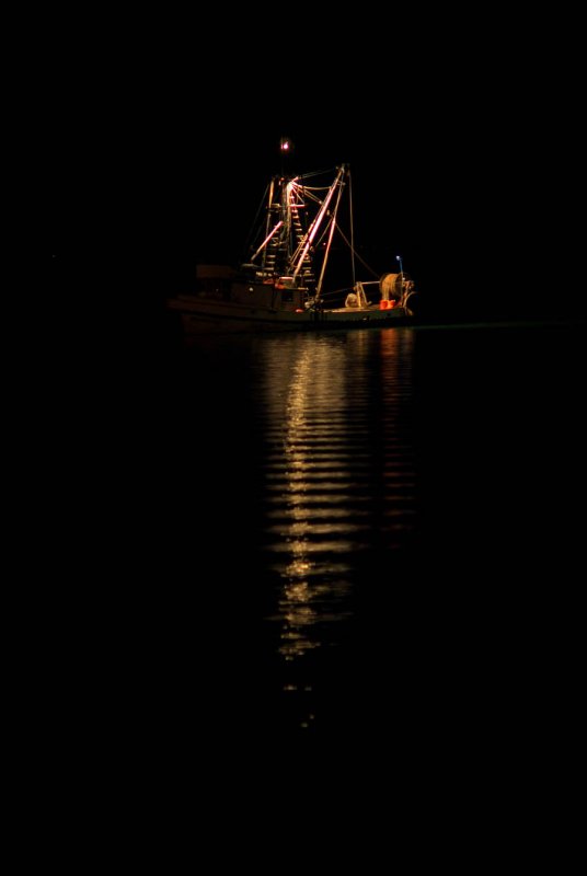 Purse seiner at anchor