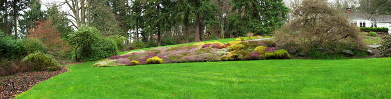 Heather Bank and Croquet Lawn Border -Feb