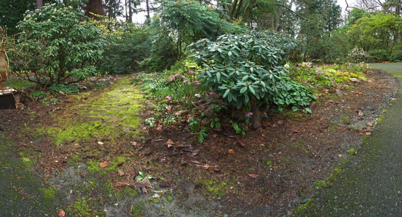 Entry to Ed Dunns Woodland Garden