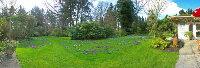 Lower Lawn from patio -  Mar.