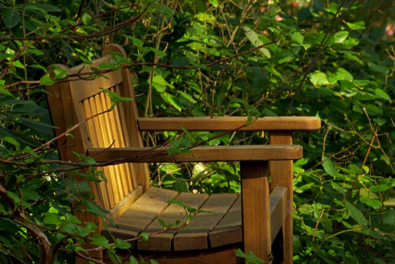 relaxed viewing (Woodland Knoll)