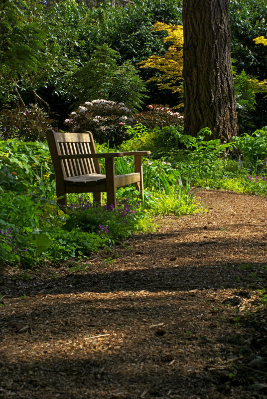 relaxed viewing (Woodland Trail)