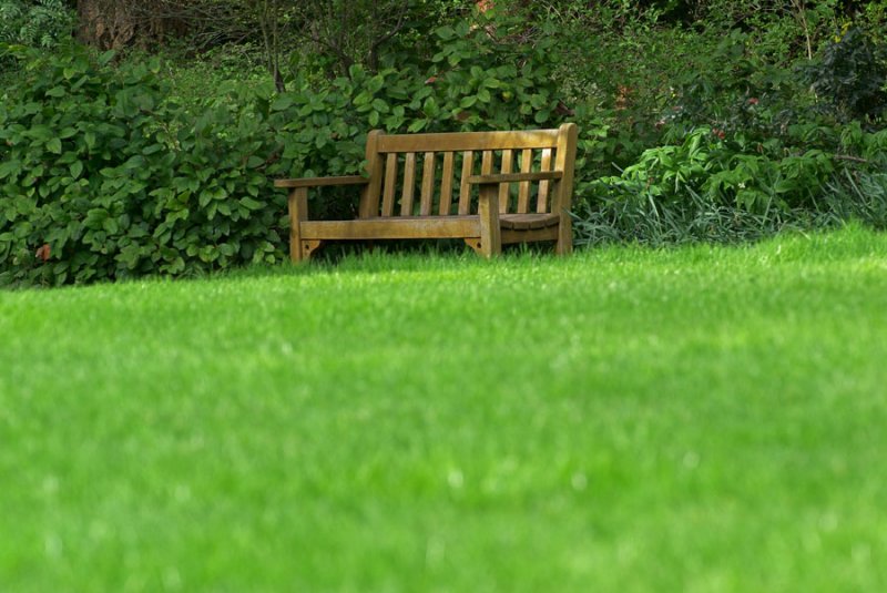 relaxed viewing (Great Lawn)