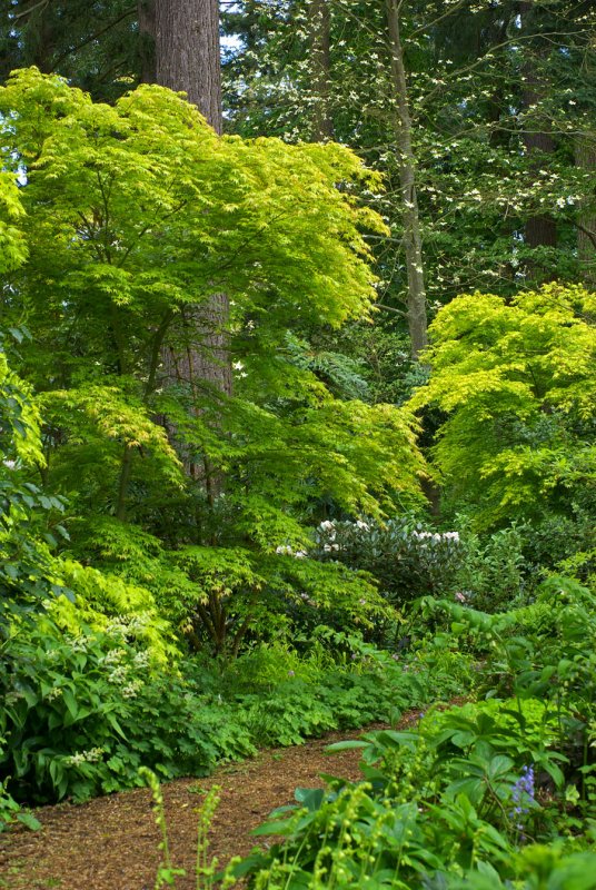 Woodland Trail - May