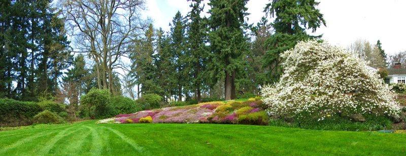 Heather Bank and Croquet Lawn Border - Mar