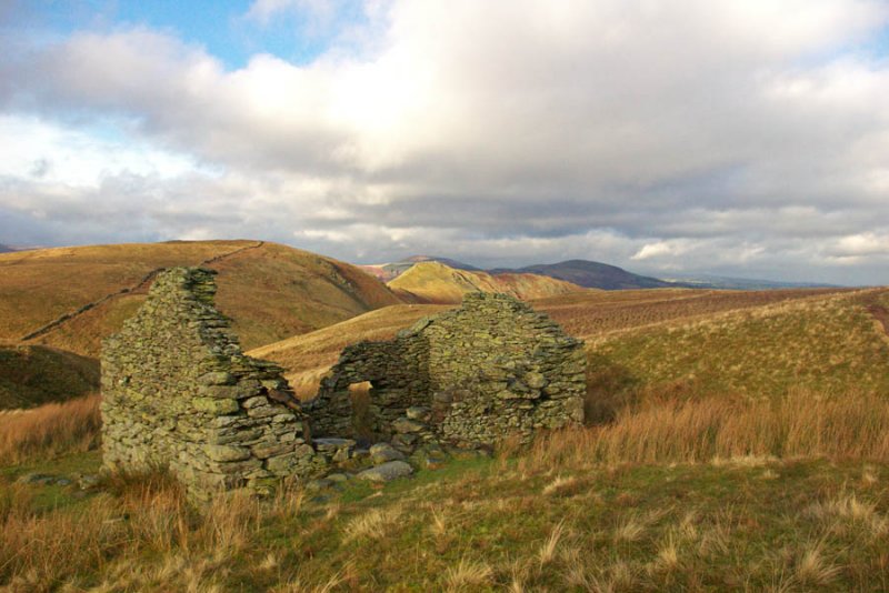 IMGP0895