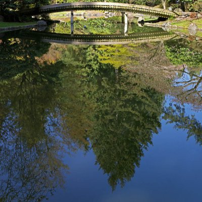 77 Log Bridge and Reflection