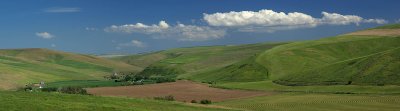 Palouse 08