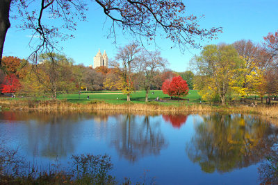 Autumn in Central Park