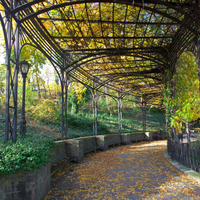 Central Park Conservatory Arbor