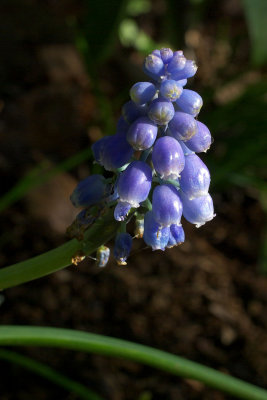 g3/95/523495/3/122083190.uGkwOVdO.jpg