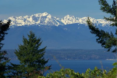 Mt. Constance, Olympics and Puget Sound