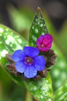 g3/95/523495/3/122529166.npNAeYpu.jpg