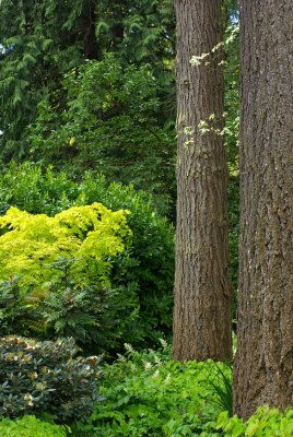 Woodland Trail - May