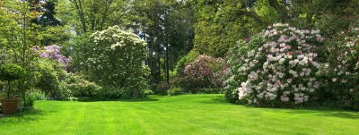 Lower Lawn - May