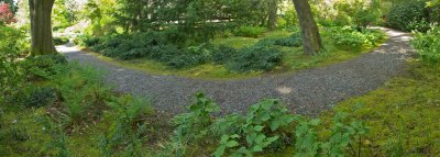  Moss Garden and Shade Path - May