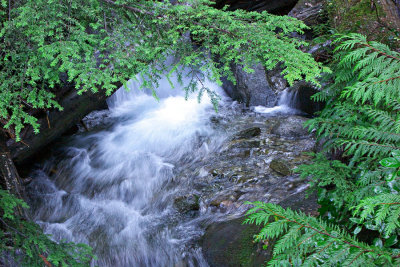 Bridal Veil Creek
