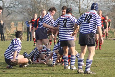 IMG_2456 copy.JPG
