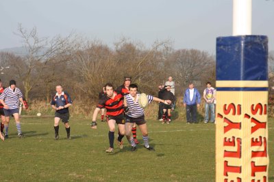 IMG_2496 copy.JPG