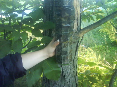 0066 Kids Cache