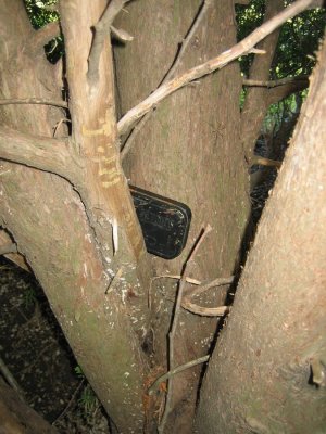 0086 Little Hawk Cache