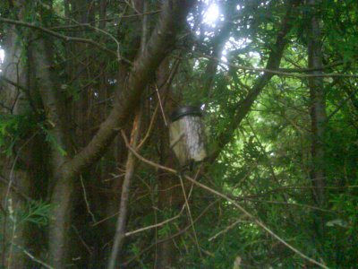 0094 Doug's cache